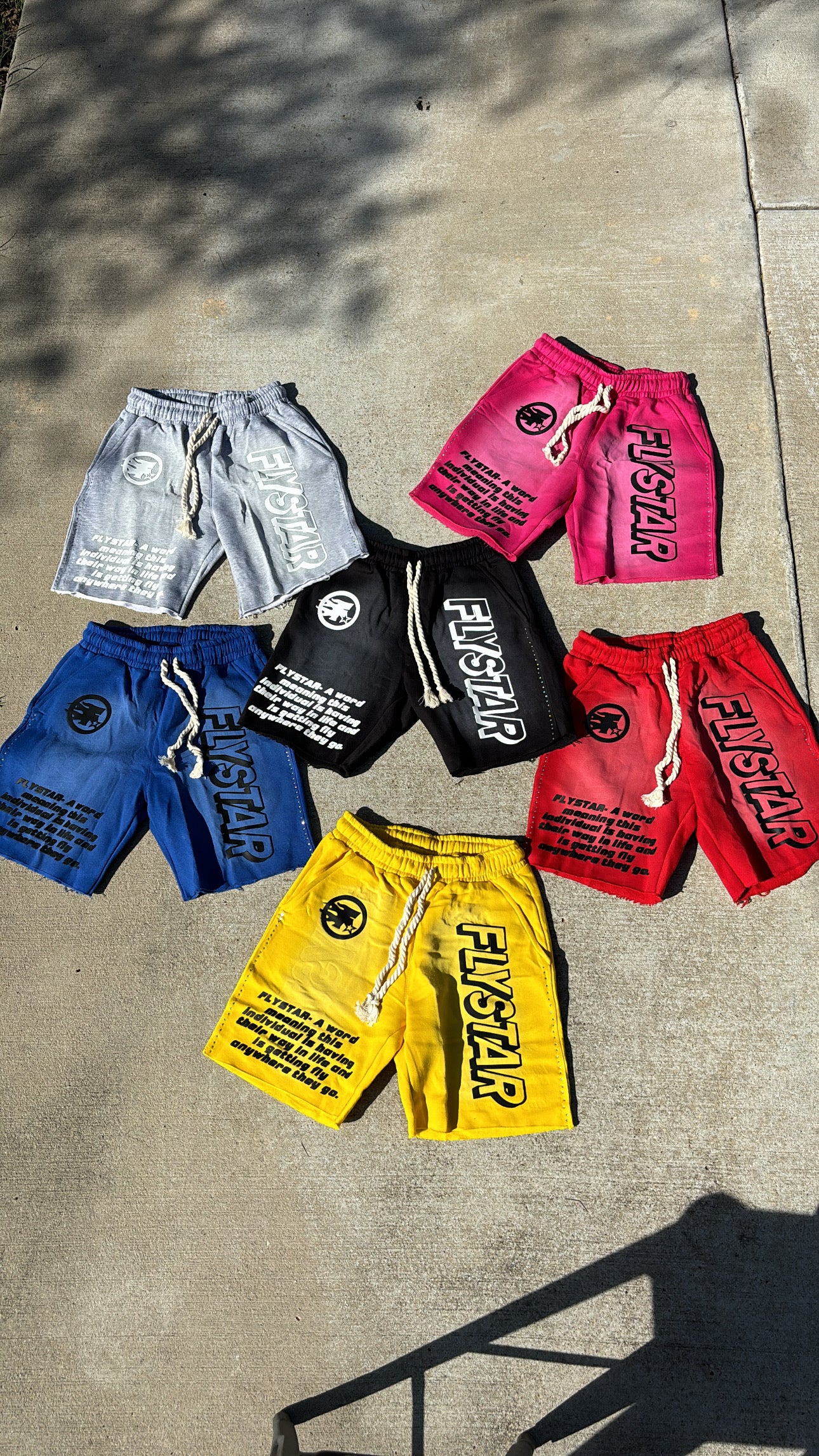 FLYSTAR “TAKEOVA” SHORTS✈️🌟