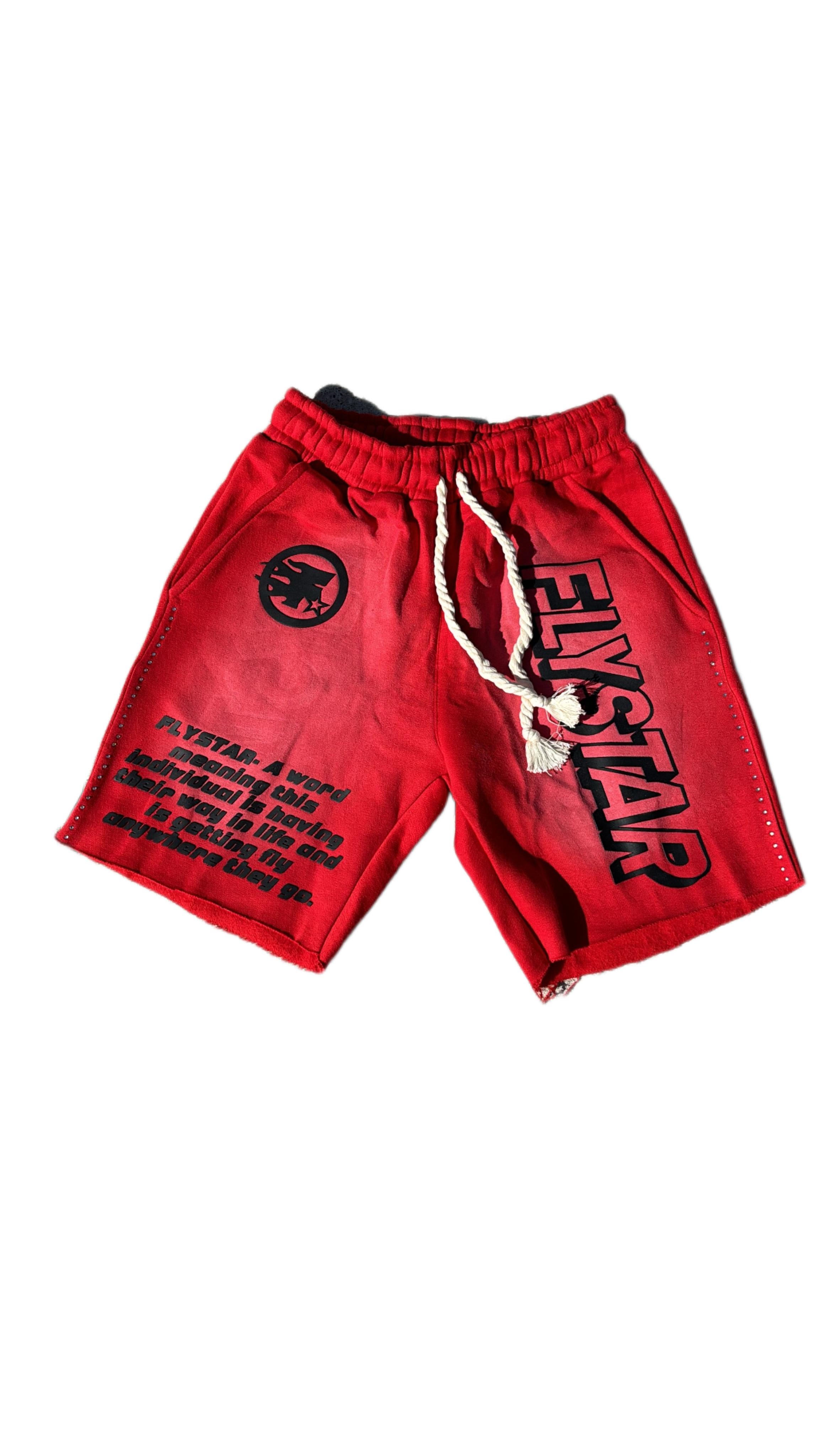 FLYSTAR “TAKEOVA” SHORTS✈️🌟